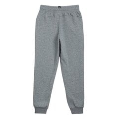 Tüdrukute dressipüksid Puma ESS Logo Pants TR Junior 586974 03, hallid цена и информация | Штаны для девочек | kaup24.ee