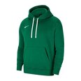 Meeste džemper Nike Park 20 Fleece M CW6894-302, roheline