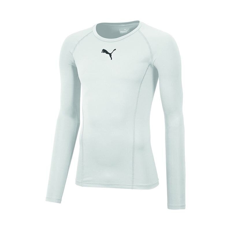 Meeste termopesu Puma Liga Baselayer Tee LS 655920 04 hind ja info | Meeste soe pesu | kaup24.ee