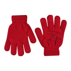 Утепленные перчатки для девочек Rak R-012A DB Smile, красные цена и информация | Зимняя одежда для детей | kaup24.ee