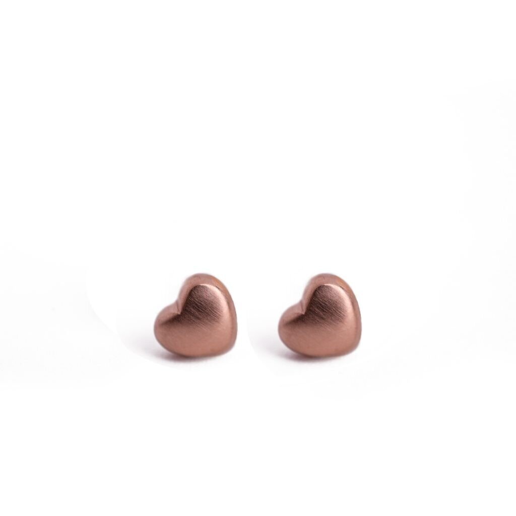 Naiste kõrvarõngad Rose Gold hind ja info | Kõrvarõngad | kaup24.ee