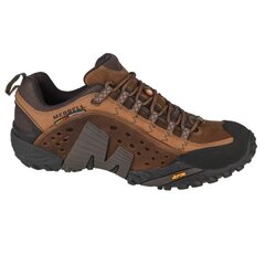 Мужская обувь Merrell Intercept M J73705, коричневая цена и информация | Спортивная обувь, кроссовки для женщин | kaup24.ee
