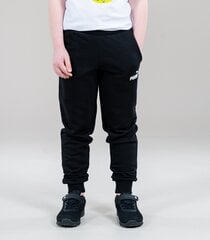 Tüdrukute spordipüksid Puma ESS Sweatpants TR Jr 587037 01 цена и информация | Штаны для девочек | kaup24.ee