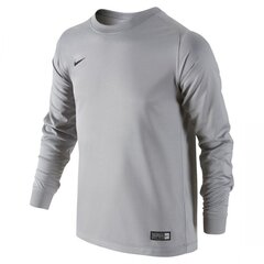 Футболка для мальчиков Nike park goalie II jersey junior 588441001, серая цена и информация | Рубашки для мальчиков | kaup24.ee