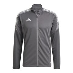 Meeste spordi dressipluus Adidas Condivo 21 Трек, hall hind ja info | Meeste spordiriided | kaup24.ee