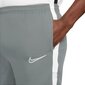 Meeste lühikesed püksid Nike CZ0988019 hind ja info | Meeste spordiriided | kaup24.ee