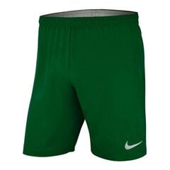Poiste lühikesed püksid Nike AJ1261302 hind ja info | Poiste lühikesed püksid | kaup24.ee