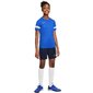 Nike Dry Academy lühikesed püksid poistele CW6109452 hind ja info | Komplektid poistele | kaup24.ee