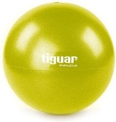 Гимнастический мяч Tiguar Easy Ball, 25cm цена и информация | SportVida Фитнес упражнений & Реабилитации мяч 55CM диаметр с насосом Коралллого Розовый | kaup24.ee