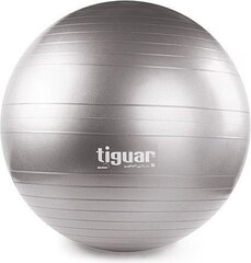 Võimlamispall Tiguar Safety Plus, 65 cm hind ja info | Võimlemispallid | kaup24.ee
