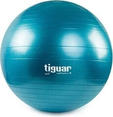 Võimlemispall Tiguar Safety Plus 75 cm hind ja info | Võimlemispallid | kaup24.ee