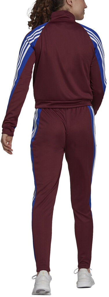 Spordikostüüm Adidas W Teamsports Ts Burgundy H24122/XS hind ja info | Naiste spordiriided | kaup24.ee