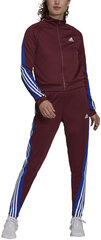 Spordikostüüm Adidas W Teamsports Ts Burgundy H24122/XS hind ja info | Naiste spordiriided | kaup24.ee