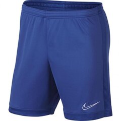 Meeste lühikesed spordipüksid Nike Dry Academy M AJ9994-480 hind ja info | Meeste spordiriided | kaup24.ee