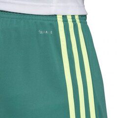 Спортивные шорты мужские Adidas M Tastigo 19, зеленые цена и информация | Мужская спортивная одежда | kaup24.ee