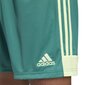 Meeste lühikesed spordipüksid Adidas M Tastigo 19, roheline hind ja info | Meeste spordiriided | kaup24.ee