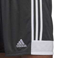 Спортивные шорты мужские Adidas M Tastigo 19 цена и информация | Мужская спортивная одежда | kaup24.ee