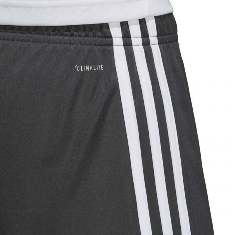 Meeste lühikesed spordipüksid Adidas M Tastigo 19 hind ja info | Meeste spordiriided | kaup24.ee