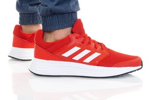 Meeste tossud Adidas GALAXY 5 VIVRED FY6721 hind ja info | Naiste spordi- ja vabaajajalatsid | kaup24.ee