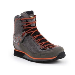 Meeste matkajalatsid Salewa MS MTN Trainer 2 GTX цена и информация | Женские сапоги | kaup24.ee