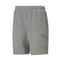 Спортивные шорты мужские Puma teamCup Casuals M 656750-33, серые цена и информация | Мужская спортивная одежда | kaup24.ee