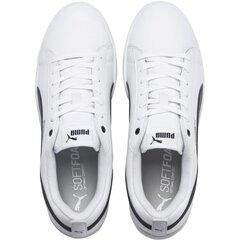 Puma Smash Wns v2 LW 365208 01 81869, белый цвет цена и информация | Спортивная обувь, кроссовки для женщин | kaup24.ee