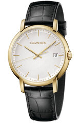 Мужские часы Calvin Klein цена и информация | Мужские часы | kaup24.ee