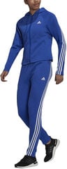 Adidas Spordikostüümid W Energize Ts Blue H24117/XL hind ja info | Naiste spordiriided | kaup24.ee