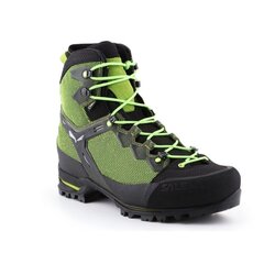 Meeste matkasaapad Salewa Ms Raven M Gtx 61343-0456, rohelised цена и информация | Мужские ботинки | kaup24.ee