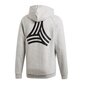 Meeste dressipluus Adidas Tango Graphic Sweat Hoody M DP2690, hall hind ja info | Meeste pusad | kaup24.ee