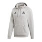 Meeste dressipluus Adidas Tango Graphic Sweat Hoody M DP2690, hall hind ja info | Meeste pusad | kaup24.ee