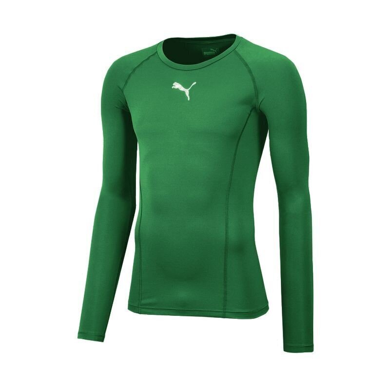 Meeste termopesu Puma Liga Baselayer Tee LS 655920 05 hind ja info | Meeste soe pesu | kaup24.ee