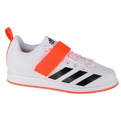 Спортивная обувь для мужчин Adidas Powerlift 4 M GZ2865, белая цена и информация | Кроссовки для мужчин | kaup24.ee