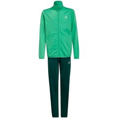 Laste spordikostüüm Adidas Essentials Tric Tracksuit Junior GS0184, roheline hind ja info | Poiste püksid | kaup24.ee