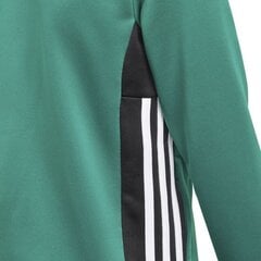 Джемпер Adidas Regista 18 Pes JKT Junior DJ2176, 44530 цена и информация | Свитеры, жилетки, пиджаки для мальчиков | kaup24.ee