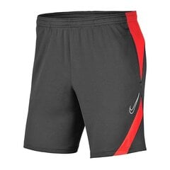 Laste lühikesed spordipüksid Nike Dry Academy JR BV6946- 062 (58322) hind ja info | Poiste lühikesed püksid | kaup24.ee