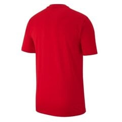 Спортивная футболка Nike Y Tee Team Club 19 SS Jr AJ1548 657 цена и информация | Рубашки для мальчиков | kaup24.ee