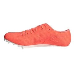 Мужские кроссовки для бега Adidas цена и информация | Спортивная обувь, кроссовки для женщин | kaup24.ee