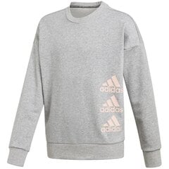 Kampsun tüdrukutele Adidas Jg Mh Crew Junior GK3237, hall. hind ja info | Tüdrukute kampsunid, vestid ja jakid | kaup24.ee