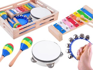 Mediniai muzikos instrumentai, 4in1 цена и информация | Развивающие игрушки и игры | kaup24.ee