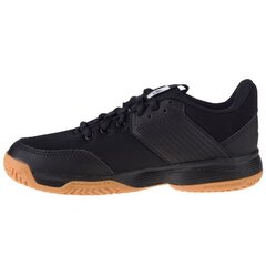 Спортивная обувь для мальчиков Adidas Ligra 6 Jr D97704, черная цена и информация | Детская спортивная обувь | kaup24.ee