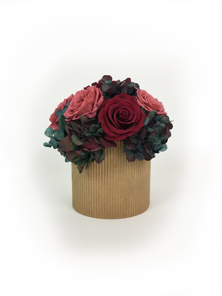 Lillekimp Roos-Hortensia цена и информация | Uinuvad roosid, taimed | kaup24.ee