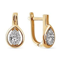 Kullast kõrvarõngad teemantide 09TPZ300072 09TPZ300072 hind ja info | Kõrvarõngad | kaup24.ee
