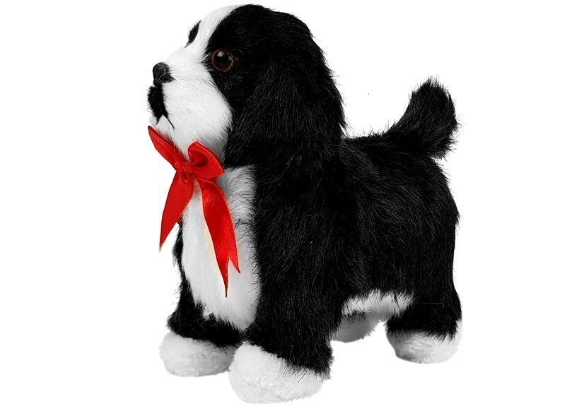 Mustvalge interaktiivne koer цена и информация | Tüdrukute mänguasjad | kaup24.ee