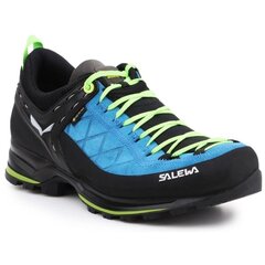 Походные ботинки для мужчин Salewa Ms Trainer 2 Winter GTX цена и информация | Мужские ботинки | kaup24.ee