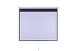 Seinaprojektori ekraan Šilelis ES-2, diagonaal: 254 cm, 16:9 цена и информация | Projektori ekraanid | kaup24.ee