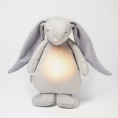 Ночник с ночной лампой и розовым шумом Moonie кролик, серебристый цена и информация | Игрушки для малышей | kaup24.ee