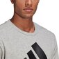 Meeste dressipluus Adidas Essentials M GK9077, hall hind ja info | Meeste pusad | kaup24.ee