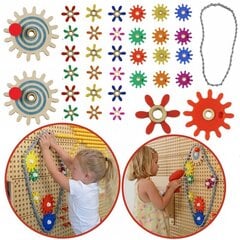 Masterkidz STEM hariv sein + värvikate hammasrataste komplekt hind ja info | Arendavad mänguasjad | kaup24.ee
