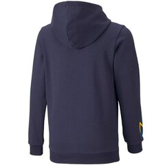 Poiste dressipluus Puma Neymar JR Hero Hoody Jr. 605545 06, tumesinine цена и информация | Свитеры, жилетки, пиджаки для мальчиков | kaup24.ee